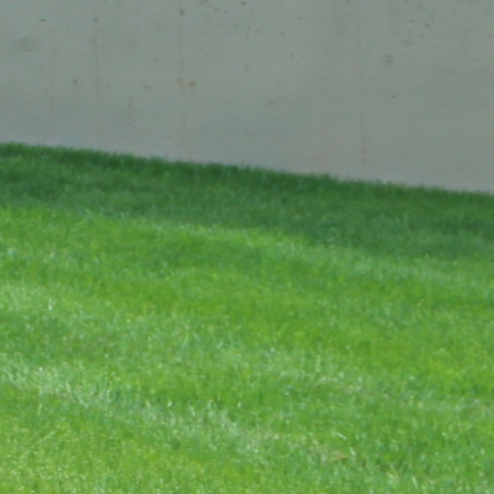 Meet your Posher, Sari